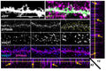 Representative confocal image of a section of dendrite from DIV20 cortical neuron expressing eGFP and colabeled for ZFP804A and VGluT1 (Cat. 75-066, 1:200, blue). Colocalisation could be observed and confirmed by conducting orthogonal view analysis with VGLUT1, whereby the 2D ICC could be viewed and superimposed in 3D by producing an X,Y, Z plane. Scale bar = 10um. Image from publication, CC-BY-4.0. PMID: 38279611.