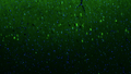 Formalin fixed, paraffin-embedded rat brain cerebral cortex showing oligodendocytes stained by Olig1 recombinant chicken monoclonal antibody (Cat. 78-180) using goat anti-chicken IgY CF®488 secondary antibody (Cat. 80-1001-488) (visualized in green). The stained sections were mounted with Antibodies Incorporated Fluoroshield with DAPI and DABCO mounting medium (Cat. AR-6505). DAPI nuclear stain (blue) shows cell nuclei. Anti-Olig1 specifically stains the oligodendrocytes in the cerebral cortex.