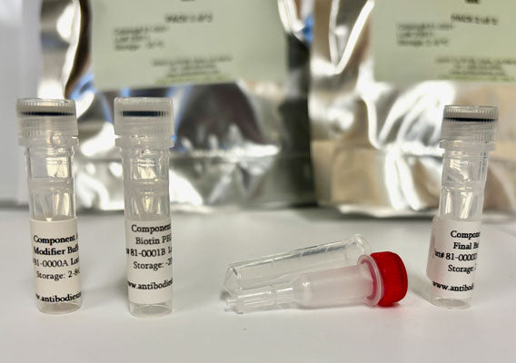 Biotin Antibody Labeling  Kit