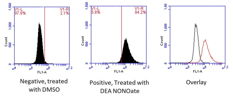 Figure 1. Jurkat cells were stained with DAF-2DA dye (Kit 9155), washed, and then treated with DMSO control (left histogram) or 1 mM DEA NONOate, a nitric oxide donor (middle histogram). Cells were read on the FL1 channel of a flow cytometer. The median fluorescence intensity (MFI) of DEA NONOate treated cells was 3.5-fold higher than for the control cells. Data also overlaid in a single plot (right, black: Negative; right, red: Positive). Data courtesy of Dr. Kristi Strandberg, ICT, 227:76.