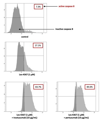 Figure 1. Activity of caspase-8 (using FAM-LETD-FMK) in AGS cells after 24 h incubation with Les-4367 (1 μM) and combined with anti-HER2 antibodies. From Figure 4 of A. Gornowicz et al Multi-Targeting Anticancer Activity of a New 4-Thiazolidinone Derivative with Anti-HER2 Antibodies in Human AGS Gastric Cancer Cells, Int J Mol Sci (2023) 24, 6791. Used under the Creative Commons Attribution License (https://creativecommons.org/licenses/by/4.0/). Copyright © 2023 by the authors.