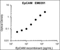 Representative Standard Curve using mouse monoclonal anti-EpCAM (EM0391) for ELISA capture of human recombinant EpCAM extracellular region with His-tag. Capture was detected by using an anti-His-tag antibody followed by appropriate secondary antibody conjugated to HRP.