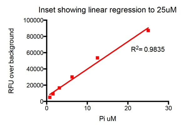 Figure 3. Phosphate standard curve inset. Incubation time=60 minutes at 37°C. Standard curve range 1.5625μM to 25μM.