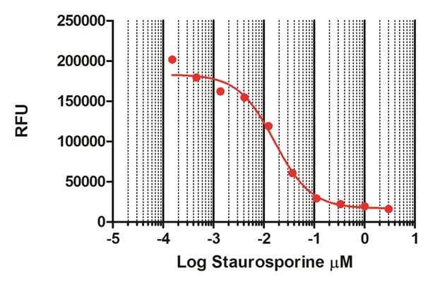 Figure 1. Staurosporine induced Jurkat cell viability assay. Titrated doses of staurosporine were added into seeded Jurkat cells (10,000 cells/well) in 96-well black opaque tissue culture plates and incubated at 37°C, 10% CO2 for 24h. Dye reagent (1/10 volume) was added into the cultured cells and incubated for 3h and fluorescence was detected at Ex: 530 nm and Em: 590 nm.
