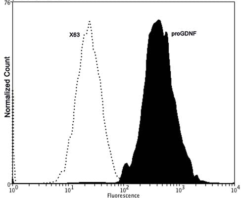 Fixing and Permeabilization of cells: Absolute methanol (10 minutes in ice) and 0.1% Tween-20 in PBS, Blocking: 1% BSA, Primary antibody: Mouse Monoclonal antibody to proGDNF (cat # M-1727-100, 2 μg per ~106 cells) for 30 minutes at room temperature, Secondary antibody: Goat anti-mouse PE labeled secondary antibody (1:100 fold dilution) with incubation for 20 minutes in dark at room temperature. Non-specific Control IgG, clone X63 (cat # M-1249-100) was used as negative control under same conditions (black dashed). Flow cytometry data and results were generated using Orflo MoxiflowTM instrument and protocols. The data demonstrates specific staining of proGDNF expressed in human neuronal cell line SHSY-5Y using cat # M-1727-100.