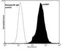 Fixing and Permeabilization of cells: Absolute methanol (10 minutes in ice) and 0.1% Tween-20 in PBS, Blocking: 200 µg/mL Normal Sheep IgG (20 minutes), Primary antibody: Mouse Monoclonal antibody to proNGF (cat # M-1738-100, 2 ug per ~10^6 cells) for 60 minutes at room temperature, Secondary antibody: Goat anti-mouse PE labeled secondary antibody (1:100 fold dilution) with incubation for 20 minutes in dark at room temperature. Non-specific Control IgG, clone X63 (cat # M-1249-100) was used as negative control under same conditions (black dashed). Flow cytometry data and results were generated using Orflo MoxiflowTM instrument and protocols. The data demonstrates specific staining of proNGF expressed in human prostate cancer DU145 cell line using cat# M-1738-100.