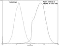 Analysis of BDNF expression in rat C6 cells by Flow Cytometry. Fixing and permeabilization of cells: Absolute methanol (10 minutes in ice) and 0.1% Tween-20 in PBS, Blocking: 200 µg/mL sheep IgG, Primary antibody: Rabbit polyclonal antibody to rhBDNF (cat # R-1707-100, 2 µg per ~10^6 cells) for 30 minutes at room temperature, Secondary antibody: Goat anti-rabbit-PE labeled secondary antibody (1:100 dilution), 20 minutes in dark at room temperature. Negative control: Normal rabbit IgG. Data and results were generated using Orflo MoxiflowTM instrument and protocols.