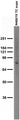 Adult rat brain membrane immunoblot