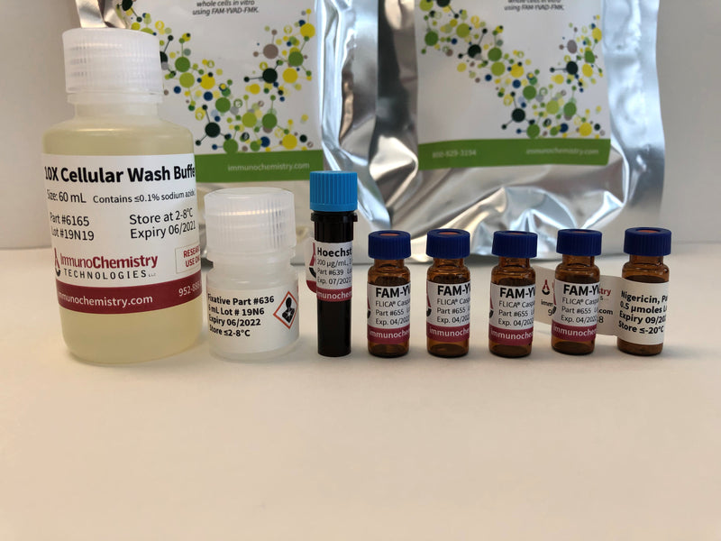 Learn More About Our Pyroptosis Kits!