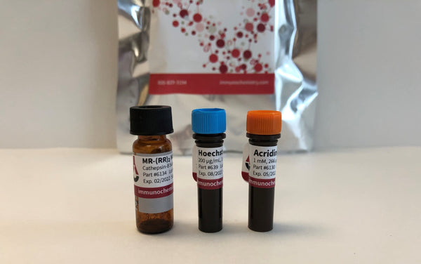 Magic Red Cathepsin B Components in Kit 938