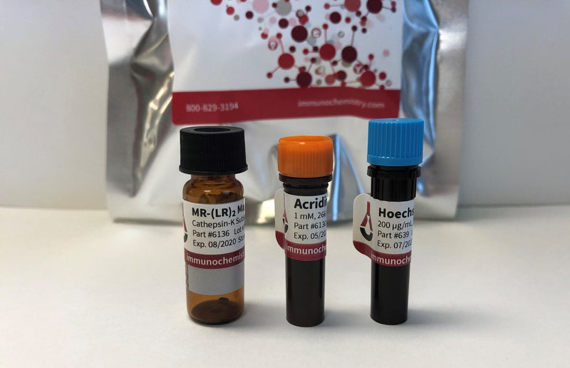 Magic Red Cathepsin K Components