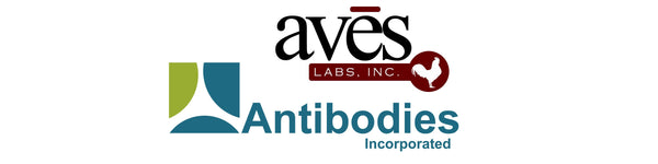 PhosphoSolutions Joins Forces with Antibodies Incorporated and Aves Labs!