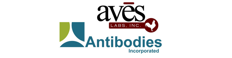 PhosphoSolutions Joins Forces with Antibodies Incorporated and Aves Labs!