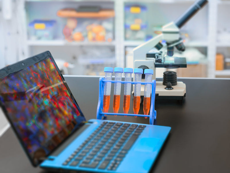 Learn About Our Antibody Product Offerings!