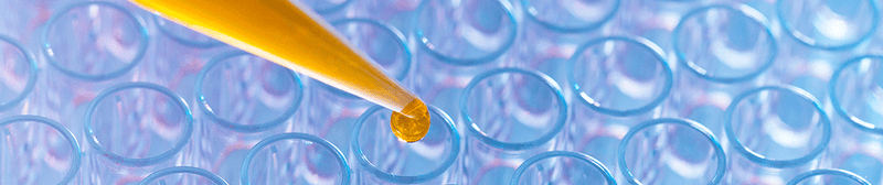 Accurate ELISA results before LUNCH!