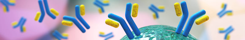 Are Monoclonal Antibodies Really More Specific?
