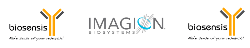 BIOSENSIS Enters Into Agreement to Acquire Exclusive Rights to Imagion’s PrecisionMRX Technology