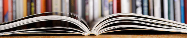 Quarterly Citation Update for Aves Labs!