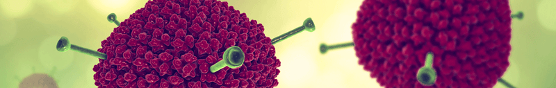 Adenoviruses