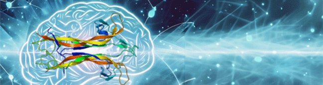 BDNF: Orchestrating Brain Health