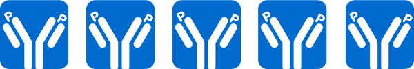 Phospho logo