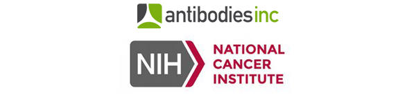 Apply Now for NCI-Funded Custom Antibodies!