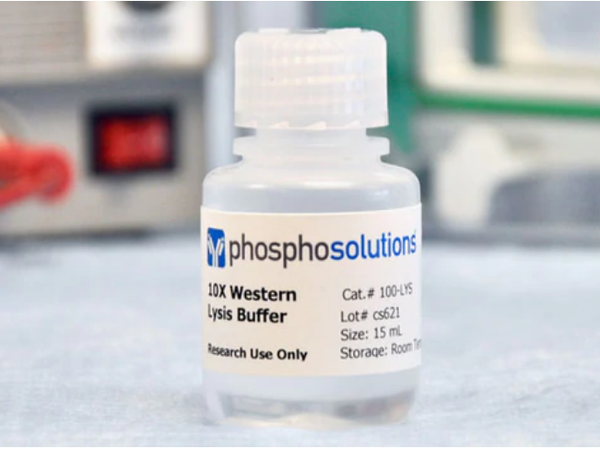 Highlighting PhosphoSolution's 10X Lysis Buffer!