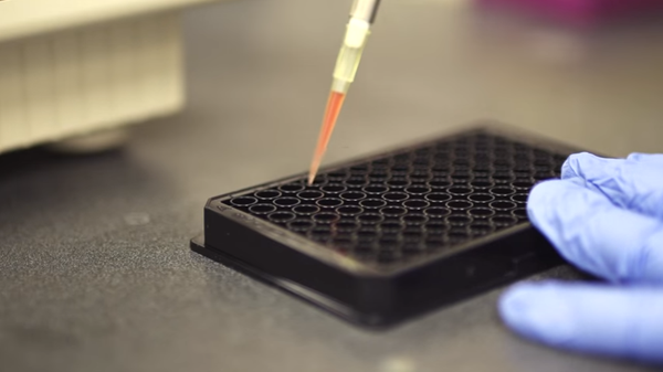 Magic Red Assay Kits