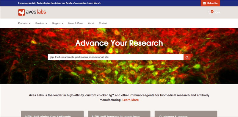 New Website, New Brand!