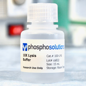 10X Lysis Buffer | 100-LYS
