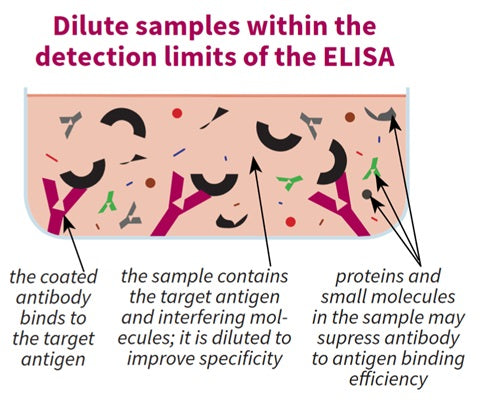 Figure 1. Dilute samples within the detection limits of the ELISA