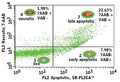 Figure 3. K562 target cells were stained with CFSE to distinguish them from effector cells in FL1 (Fig 2). The target cells were stained with 7-AAD (Cat. 6163) to identify membrane-compromised necrotic target cells (red in FL3), and with SR-FLICA® (Cat. 917) to identify caspase-positive apoptotic target cells (orangy-red in FL2). When used together with Total Cytotoxicity Assay kit (Cat. 972), these reagents identified four populations of cells: live; early apoptotic; late apoptotic; and necrotic.