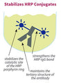 Figure 1. Stabilization of HRP conjugates