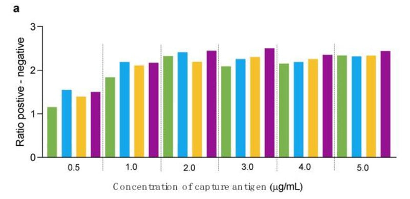 Figure 1. Optimization of double-antigen sandwich ELISA. (a) Capture (0.5 to 5.0 µg/mL) and detection antigen (0.2 (green), 0.4 (light blue), 0.8 (yellow), and 1.6 (purple)) were used to optimize capture and detection antigen (N protein). Capture antigen was diluted with Antigen Coating Buffer. From Figure 1a of Cordero-Ortiz, M, et al. (2023) Animals (Basel) 13, 3487 doi: 10.3390/ani13223487. Used under CC License (https://creativecommons.org/licenses/by/4.0/). Copyright © 2023 by the authors.