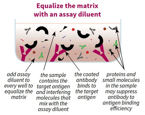 Figure 1. Equalize the matrix with an assay diluent
