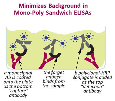 Figure 2. Minimizes background in mono-poly sandwich ELISAs