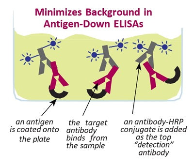 Figure 3. Minimizes background in antigen-down ELISAs