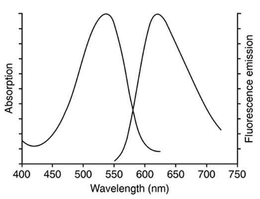 Figure 1. Propidium iodide excitation and emission spectra.