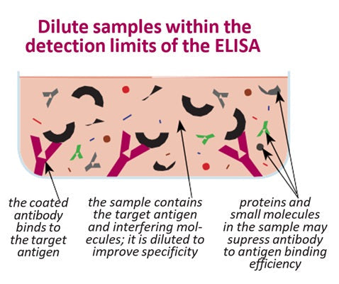Figure 1. Dilute samples within the detection limit of the ELISA