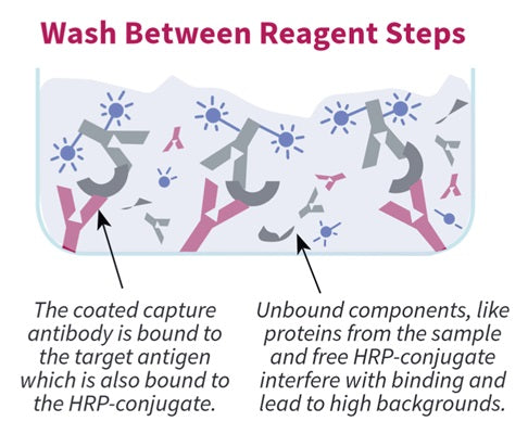 Figure 1. Wash between reagent steps