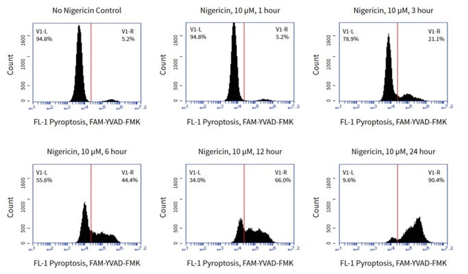 Figure 1. A pool of Jurkat cells was spiked with FAM-YVAD-FMK (cat. 9146) and divided into separate treatment groups. Starting with 24 hour samples and working backwards, 10 µM Nigericin was added to cells and the samples were incubated at 37°C throughout the induction process. The cells were washed and analyzed on a flow cytometer. The level of caspase-1 activity directly correlated to the period of exposure to Nigericin Data. courtesy of Mrs. Tracy Murphy, ICT (220:78).