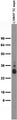 Adult rat brain membrane immunoblot.