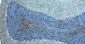 Immunohistochemistry for detection of GFAP in rat cerebellum using anti-GFAP antibody clone N206A/8 (Cat. 75-240) and Streptavidin/Biotin-ABC-Peroxidase Staining Kit (Cat. IH-8106). Tissue was fixed with 4% paraformaldehyde and paraffin embedded. Heat induced antigen retrieval was performed using citrate buffer (Cat. AR-6544) and then blocked with Immuno Protein Blocking Solution with Goat Serum (AR-6591). After washing, the primary antibody (Cat. 75-240) was incubated with the sample at a dilution of 1:500 at 4C overnight. Then the biotinylated goat anti-mouse secondary antibody was incubated with the tissue sample. Detection was made using Streptavidin/Biotin-ABC-Peroxidase Staining Kit (" target="_blank">Cat. IH-8106).