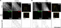 TIRF images (top row), super-resolution GSD localization maps (middle row) and binarized images (bottom row) of immunostained CaV1.2 (Cat. 75-257, 1:200) channels and β1ARs in representative fixed adult ventricular myocytes isolated from WT mice under control (A) or ISO-stimulated conditions
