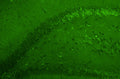 Representative section of formalin fixed, paraffin-embedded rat brain hippocampal dentate gyrus region showing cells stained by anti-GluN2B/NR2B Glutamate Receptor recombinant chicken mAb (green, Cat No. 78-101) using goat anti-chicken IgY CF®488 secondary antibody (Cat No. 80-1001-488).