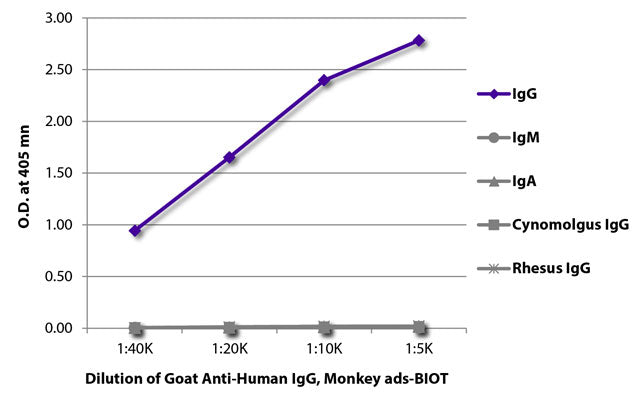 Goat Anti-Human IgG, Monkey ads, Biotin | 80-6010-BTN