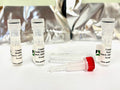 FL490 Antibody Labeling Kit