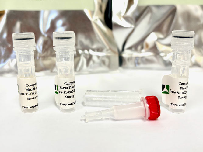 FL490 Antibody Labeling Kit