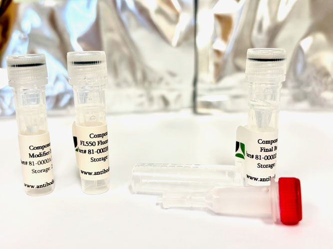 FL550 Antibody Labeling Kit