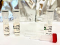 FL594 Antibody Labeling Kit